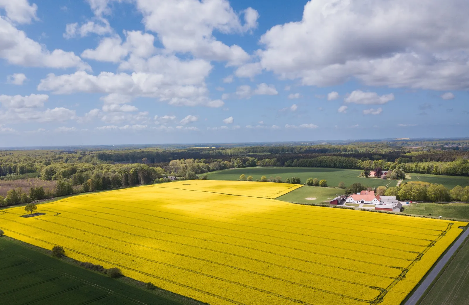 Luftfoto over gule rapsmarker med Fruerlund i baggrunden
